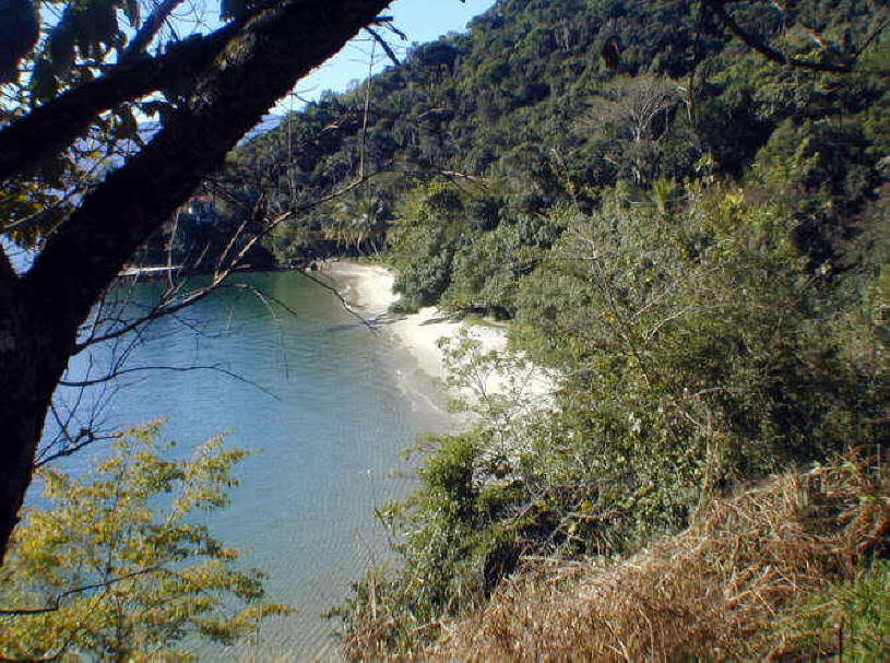 Island Beach Jaguanum Mangaritiba Brazil